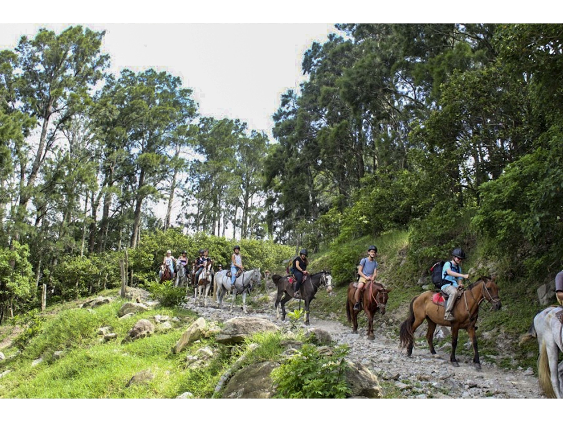 Tour Guiado de Cabalgata en Monteverde