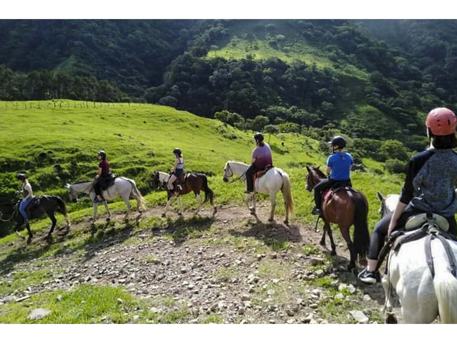 Tour Guiado de Cabalgata en Monteverde