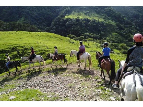 Tour Guiado de Cabalgata en Monteverde