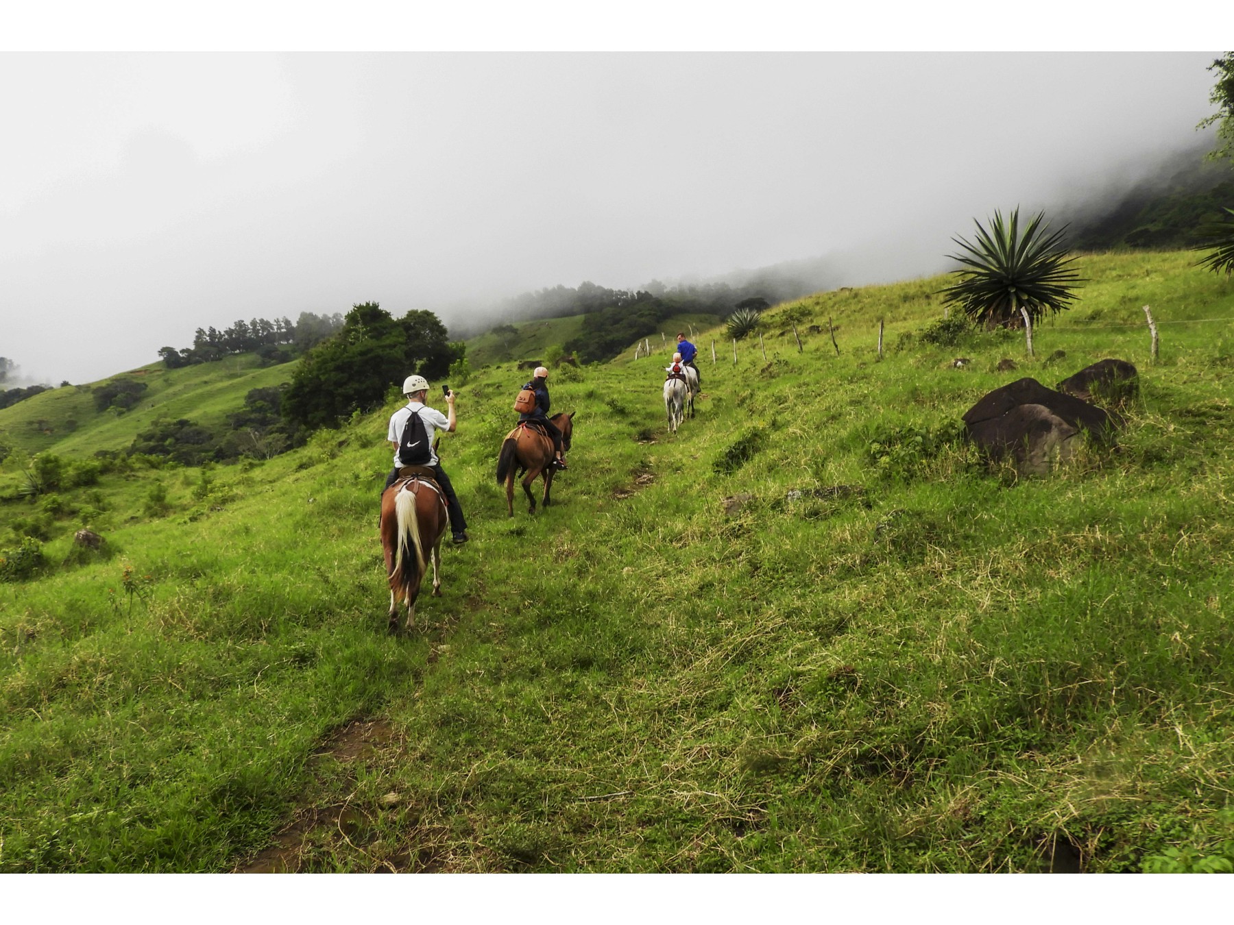 Tour Guiado de Cabalgata en Monteverde