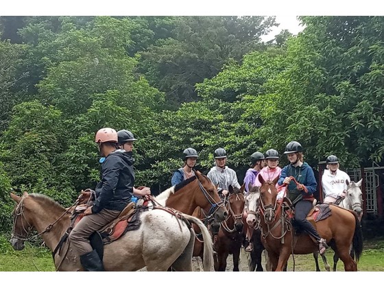 Tour Guiado de Cabalgata en Monteverde