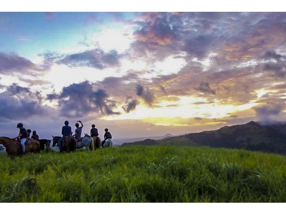 Tour Guiado de Cabalgata en Monteverde