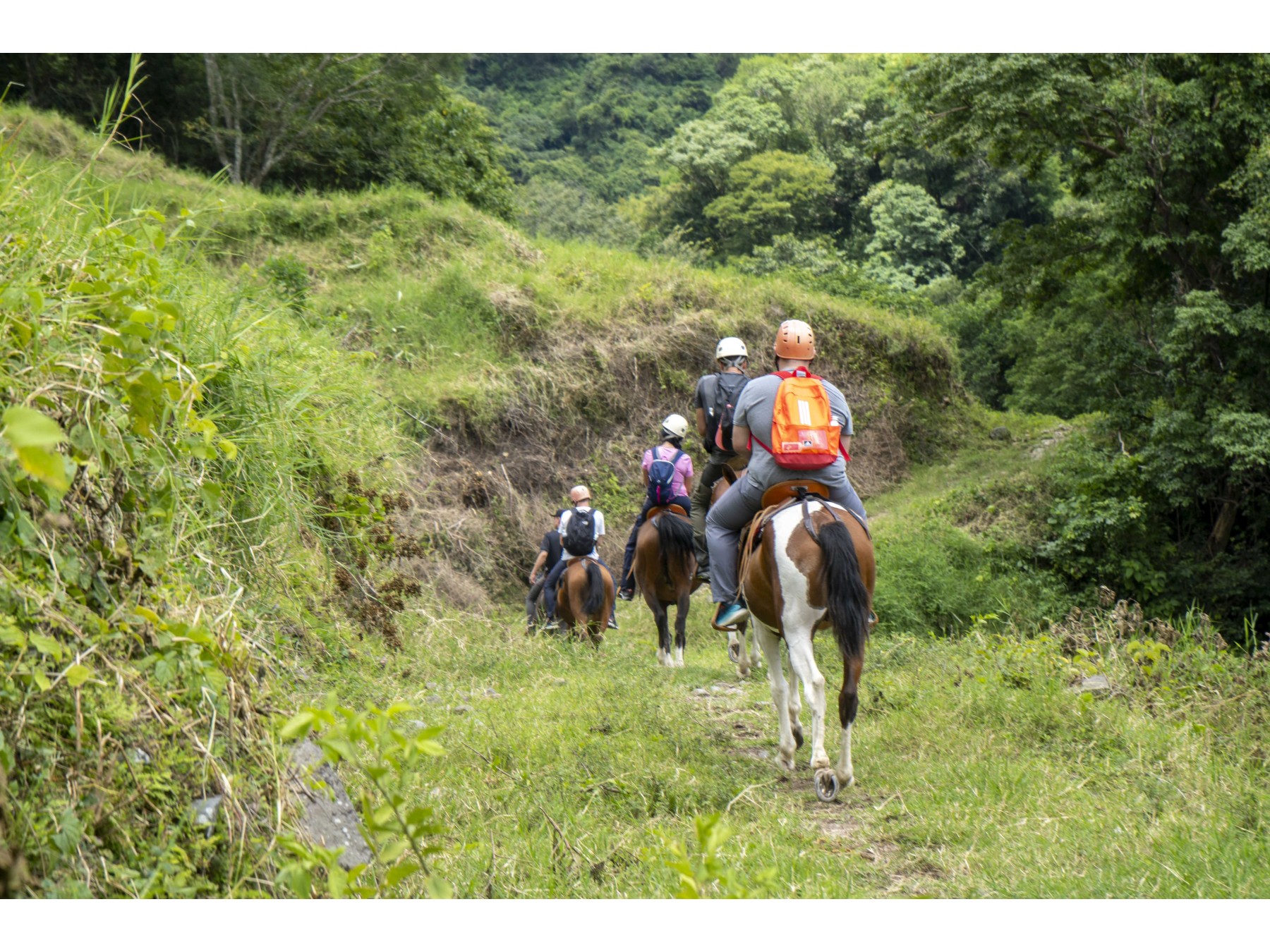 Tour Guiado de Cabalgata en Monteverde