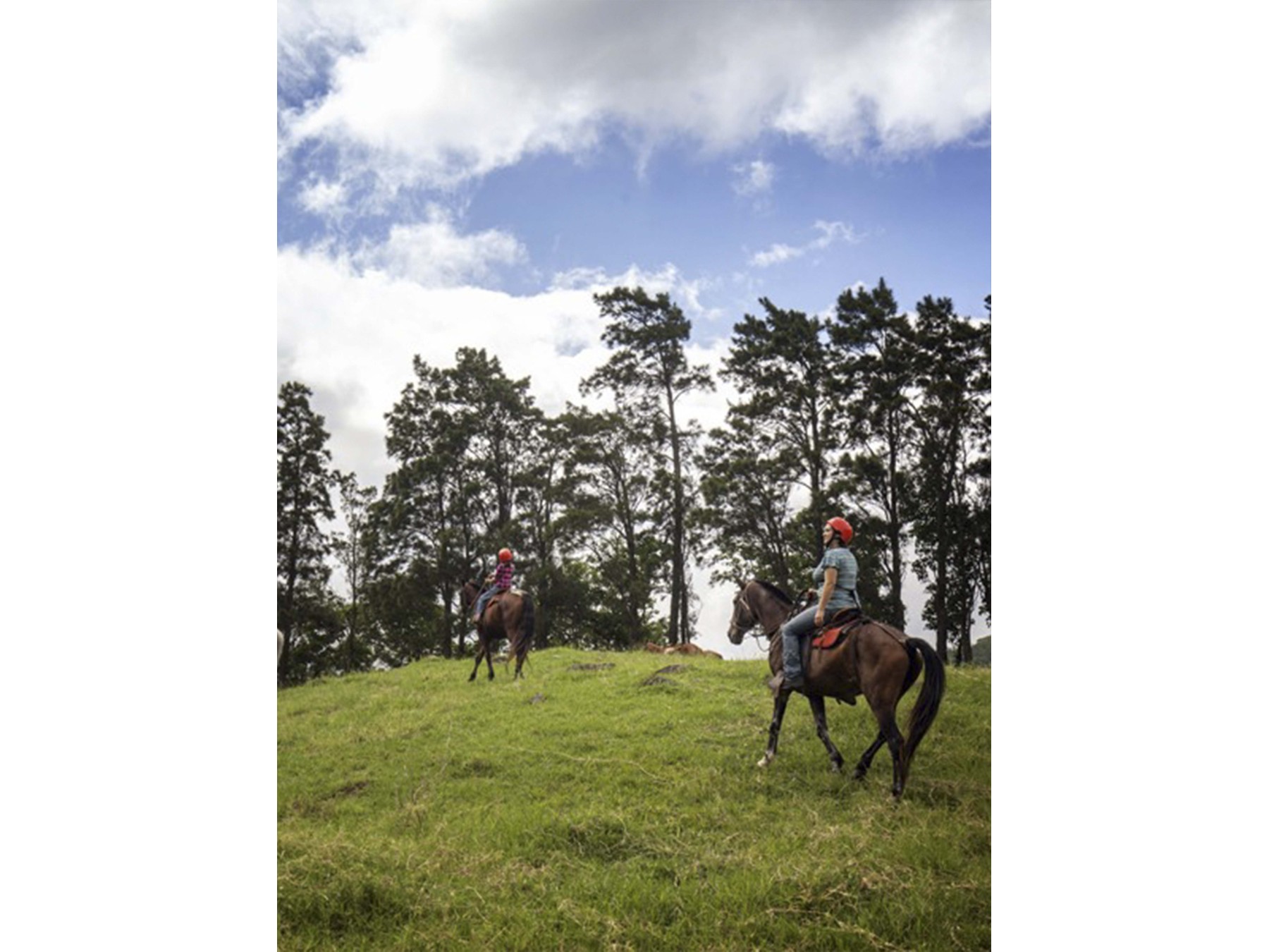 Guided Horseback Riding Tour and Hot Springs Walk in Monteverde