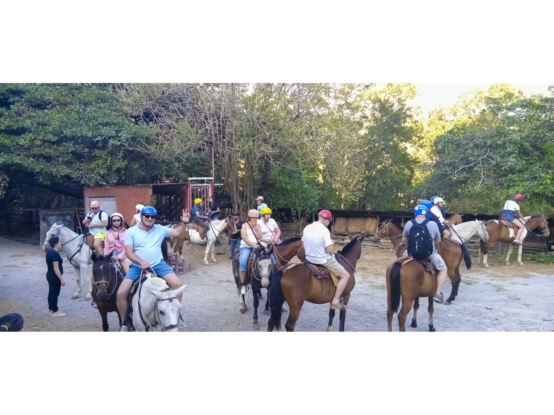 Tour Guiado de Cabalgata y Paseo a Aguas Termales con Almuerzo en Monteverde