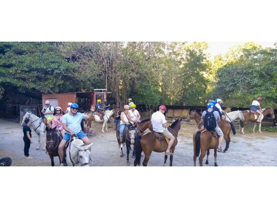 Tour Guiado de Cabalgata y Paseo a Aguas Termales con Almuerzo en Monteverde