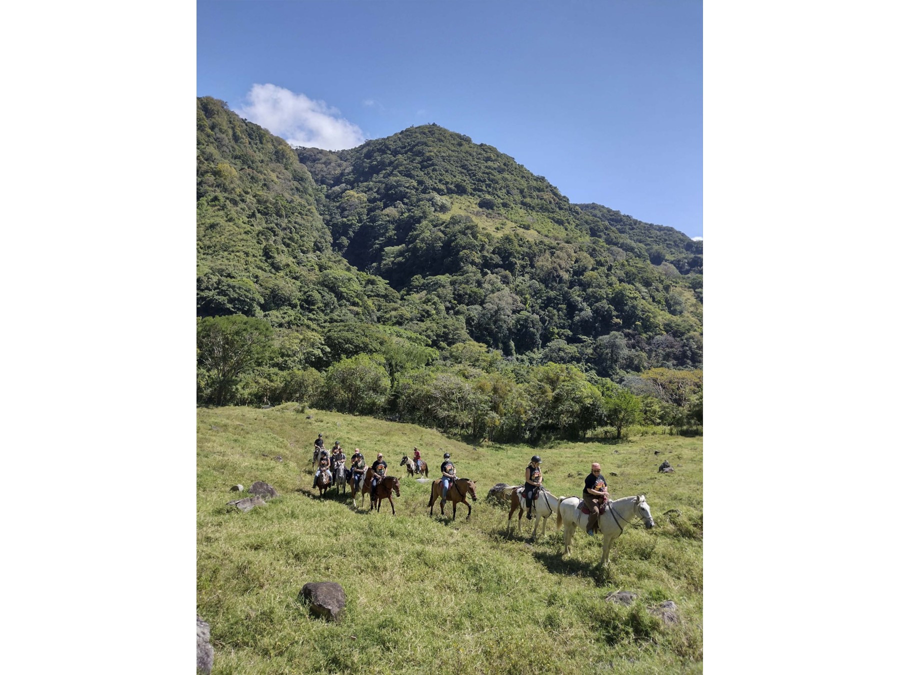 Tour Guiado de Cabalgata y Paseo a Aguas Termales con Almuerzo en Monteverde