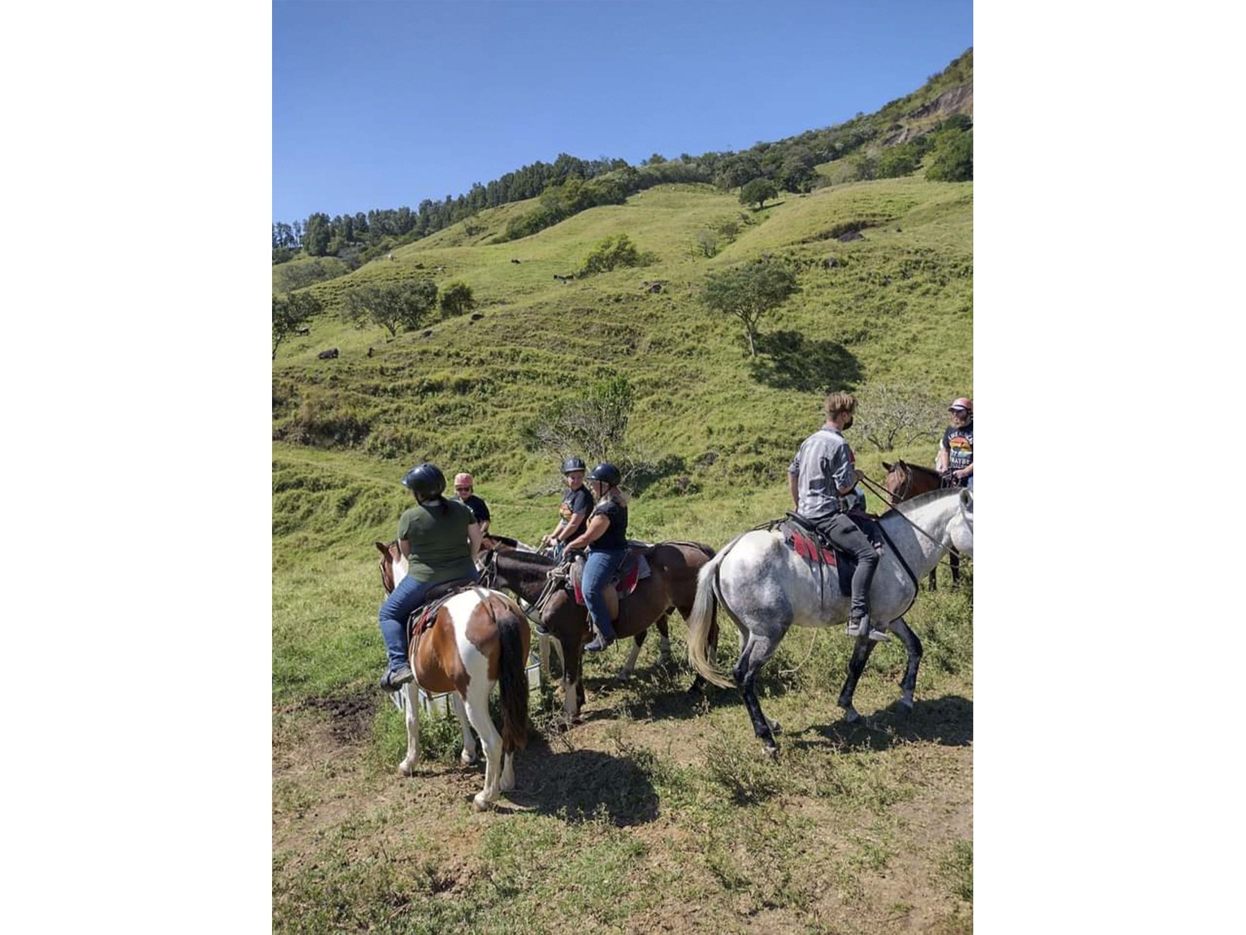 Tour Guiado de Cabalgata y Paseo a Aguas Termales con Almuerzo en Monteverde