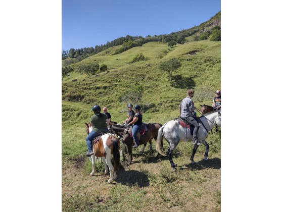 Tour Guiado de Cabalgata y Paseo a Aguas Termales con Almuerzo en Monteverde