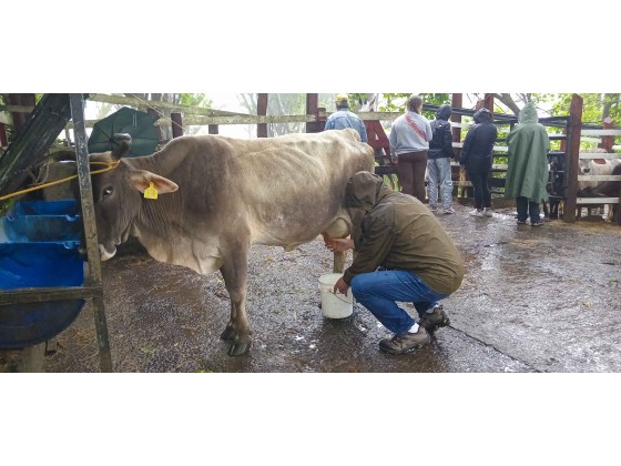 Experiencia Finca Lindora: Tour Guiado de Cabalgata y Aguas Termales