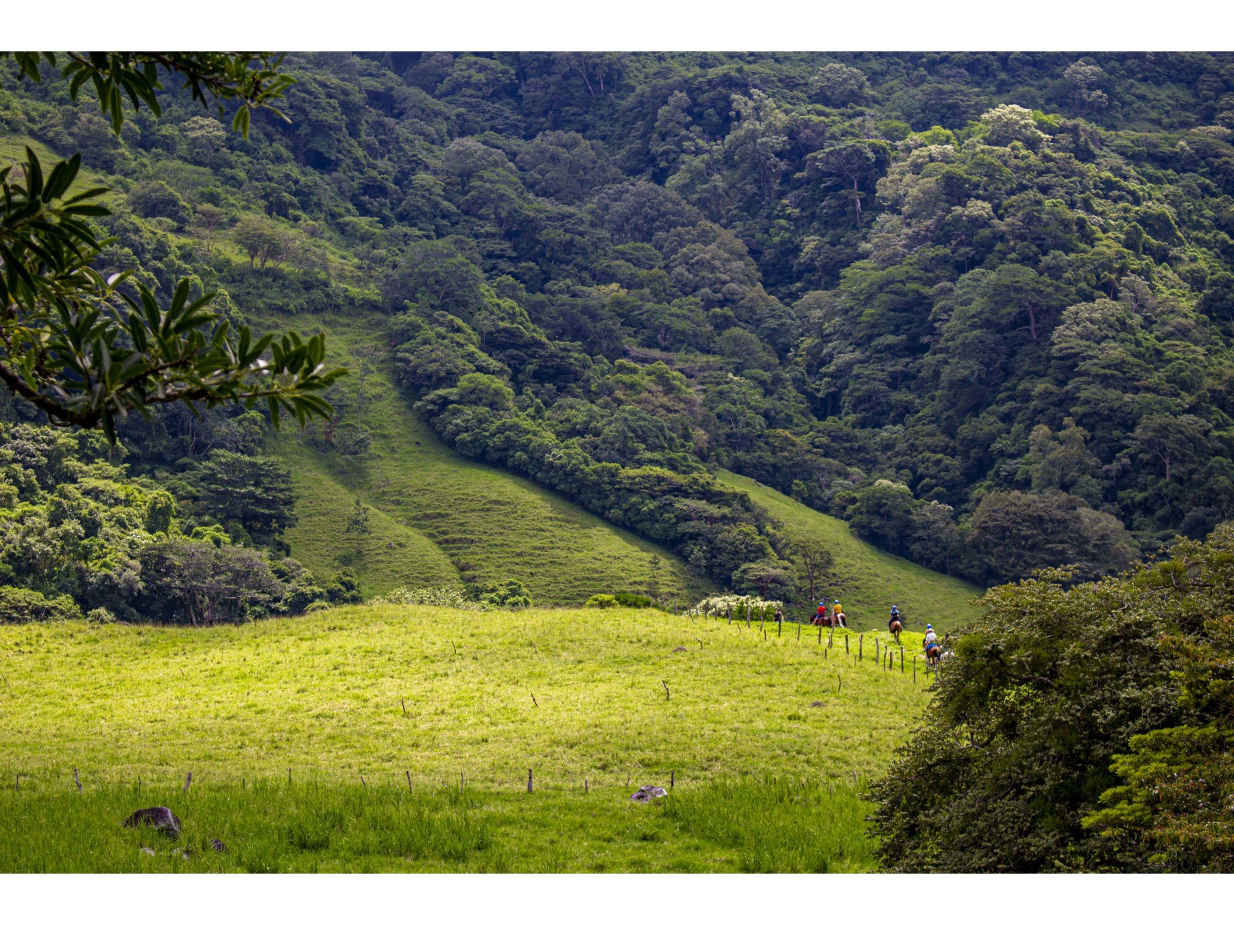 Experiencia Finca Lindora: Tour Guiado de Cabalgata y Aguas Termales