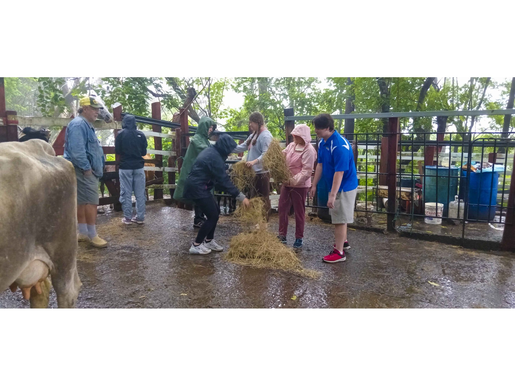 Experiencia Finca Lindora: Tour Guiado de Cabalgata y Aguas Termales